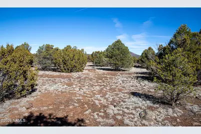 1470 E Ventura Avenue #170, Williams, AZ 86046 - Photo 19