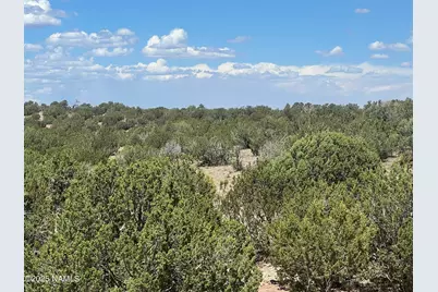 3472 Whitetail Loop, Williams, AZ 86046 - Photo 3