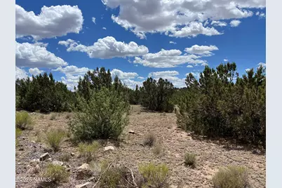 3472 Whitetail Loop, Williams, AZ 86046 - Photo 5