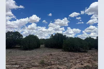 3472 Whitetail Loop, Williams, AZ 86046 - Photo 13