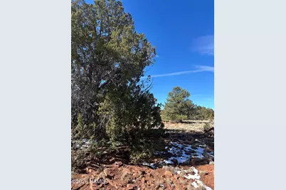 2816 S Spruce Road, Williams, AZ 86046 - Photo 3