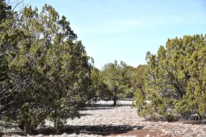 7590 Daisy Drive, Williams, AZ 86046 - Photo 7