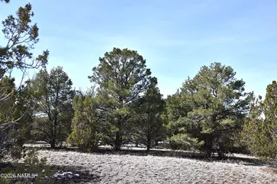 7590 Daisy Drive, Williams, AZ 86046 - Photo 9