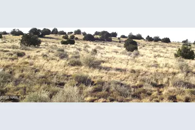 3368 E Antelope, Williams, AZ 86046 - Photo 3