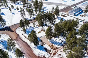 902 Fulton Spgs Dr, Mormon Lake, AZ 86038 - Photo 83