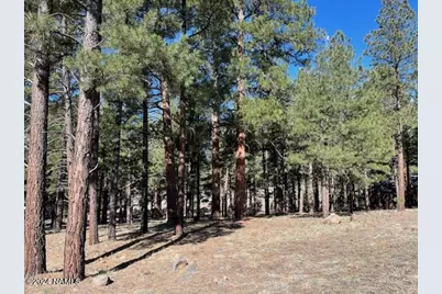 3215 Granite, Flagstaff, AZ 86001 - Photo 5