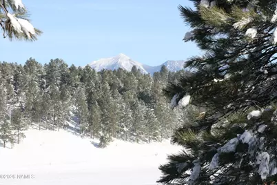 2495 Mesa Trail, Flagstaff, AZ 86005 - Photo 43
