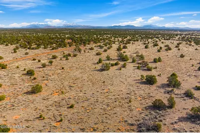 812 N Kaibab Road, Williams, AZ 86046 - Photo 3