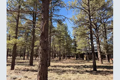 3210 W Northwood Court, Williams, AZ 86046 - Photo 13