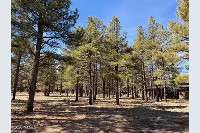 3210 W Northwood Court, Williams, AZ 86046 - Photo 5