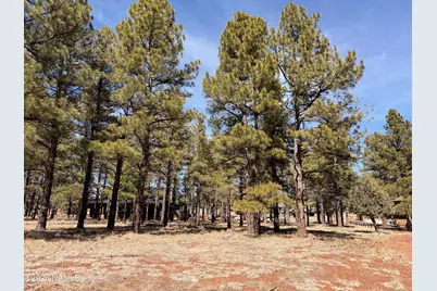 3210 W Northwood Court, Williams, AZ 86046 - Photo 9