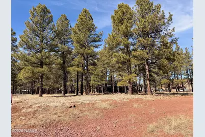 3210 W Northwood Court, Williams, AZ 86046 - Photo 3