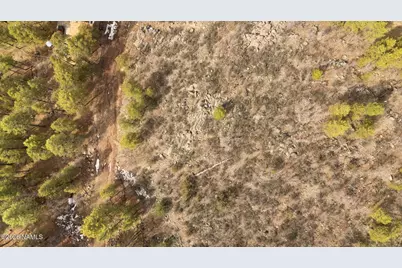 00 S Pine Street, Williams, AZ 86046 - Photo 5