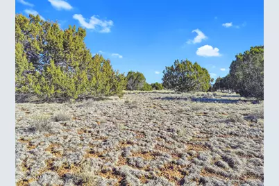 908 E Hoctor Road, Williams, AZ 86046 - Photo 11