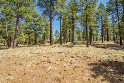 3655 S Woodland Hills Drive #366, Flagstaff, AZ 86005 - Photo 15