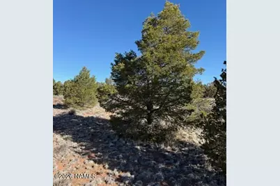 5752 N Hidden Ranch Road, Williams, AZ 86046 - Photo 3