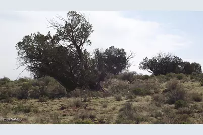 64 S Laguna Drive, Williams, AZ 86046 - Photo 1