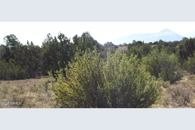 11962 S Mesa View Road, Williams, AZ 86046 - Photo 11