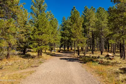 3150 W Sheila Drive, Flagstaff, AZ 86001 - Photo 53