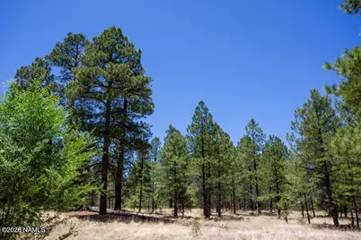 5330 E Nordica Loop, Flagstaff, AZ 86004 - Photo 3