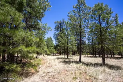 5330 E Nordica Loop, Flagstaff, AZ 86004 - Photo 3