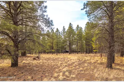 450 N Sky View Street, Flagstaff, AZ 86004 - Photo 11