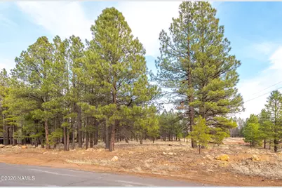 450 N Sky View Street, Flagstaff, AZ 86004 - Photo 5