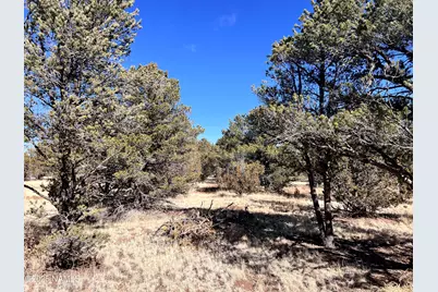 7223 Daisy Drive, Williams, AZ 86046 - Photo 15