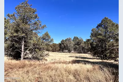 7223 Daisy Drive, Williams, AZ 86046 - Photo 5