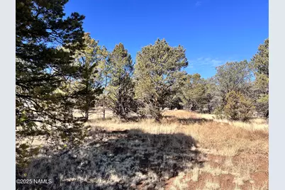 7223 Daisy Drive, Williams, AZ 86046 - Photo 7