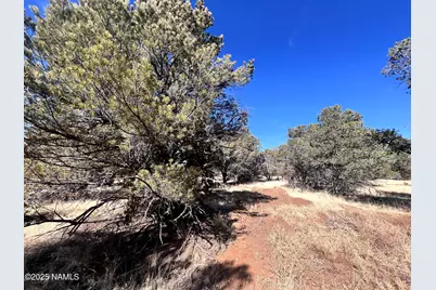 7223 Daisy Drive, Williams, AZ 86046 - Photo 11