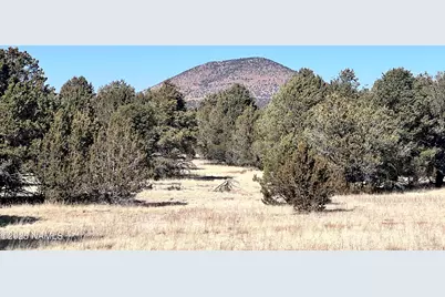 7223 Daisy Drive, Williams, AZ 86046 - Photo 1