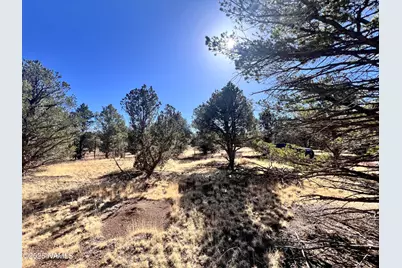 7223 Daisy Drive, Williams, AZ 86046 - Photo 13
