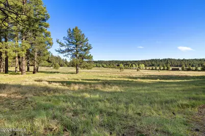 259 E Foxboro Road #7, Munds Park, AZ 86017 - Photo 41