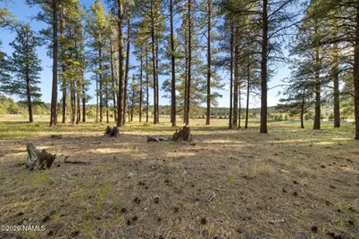 259 E Foxboro Road #7, Munds Park, AZ 86017 - Photo 37