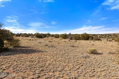 9996 Bird Dog Circle #Lot F, Williams, AZ 86046 - Photo 13