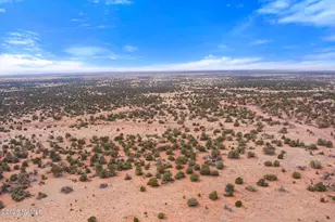 9996 Bird Dog Cir, Williams, AZ 86046 - Photo 1