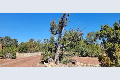 4650 E Juniper Road, Williams, AZ 86046 - Photo 3