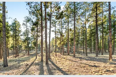 2009 N Ledgestone Lane, Flagstaff, AZ 86001 - Photo 15