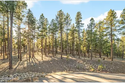 2009 N Ledgestone Lane, Flagstaff, AZ 86001 - Photo 9