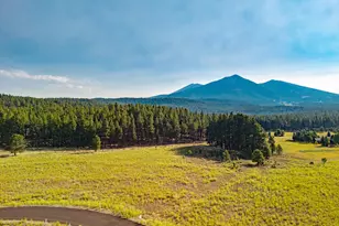9217 Ranch at The Peaks Wy, Flagstaff, AZ 86001 - Photo 1