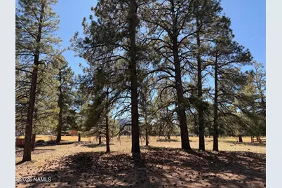 2697 W Brookhollow Drive #8, Williams, AZ 86046 - Photo 5