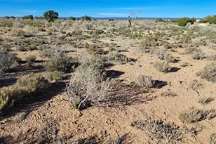 1087 E Vernon Rd, Williams, AZ 86046 - Photo 1