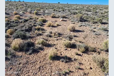 1129 E Waddell Road, Williams, AZ 86046 - Photo 3