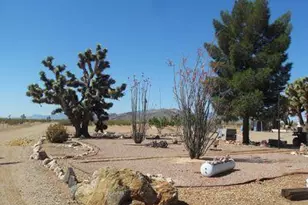 2595 W Lucy Ln, Kingman, AZ 86409 - Photo 43