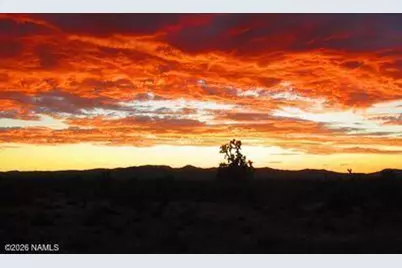 2595 W Lucy Lane, Kingman, AZ 86409 - Photo 35