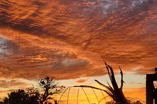 7211 E Roper Lot B 12 Ac Circle, Williams, AZ 86046 - Photo 1