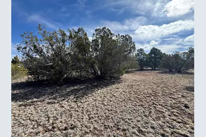 6598 N Isabella Street, Williams, AZ 86046 - Photo 7
