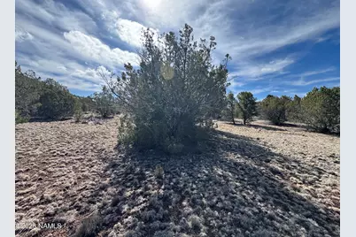 6598 N Isabella Street, Williams, AZ 86046 - Photo 9