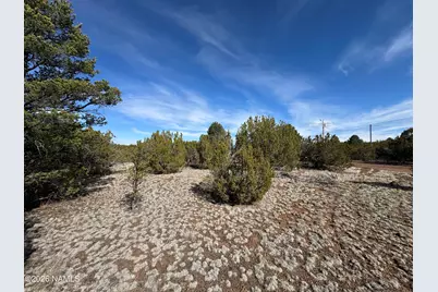 6598 N Isabella Street, Williams, AZ 86046 - Photo 3